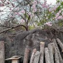 산모음 민박 이미지