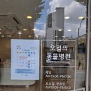 오월의 동물병원 | 경산 시지 정평동 애견미용 동물병원 추천 고양이 노령견 전문 [오월의 동물병원]