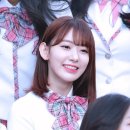 사쿠라 이미지