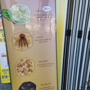 여수낭만메가칩이순신 이미지