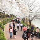 중랑천 제4체육공원 이미지