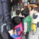 참송 이미지