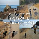 기장대게마을 | 기장 오랑대공원 오시리아 해안산책로 강아지와 트레킹