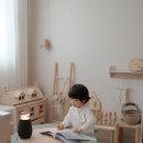 5세 창작 전집 아람북스 뉴라라랜드 후기