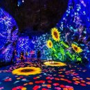 아우라지 자연농원 이미지