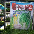 홍농상회 이미지