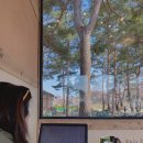 힐링까페 이미지