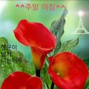 즐거운 이미지