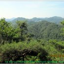 뿌리공원 이미지