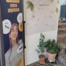 대학로2L 이미지