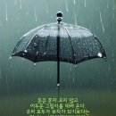 소만 Daum카페