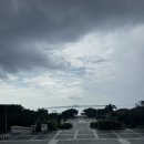 본에지리조트 | 오키나와 추라우미 수족관 다녀왔어요 [주차/입장료/할인/수조별정보/고래상어]