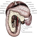 이음동물병원 이미지