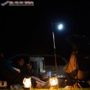 남해-311 이미지