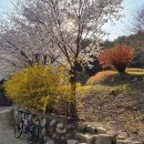 외광보건진료소 이미지