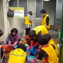 라이온스 이미지