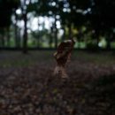 가브리엘의 다락방 이미지