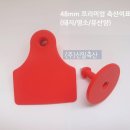 영하축산 이미지