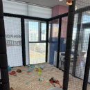 아이랑 주말 나들이 : 370평규모의 인천 키즈카페 챔피언더블랙벨트 계양점