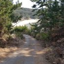 파인펜션 이미지