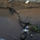 사파동305 이미지