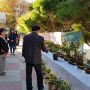 염동초등학교 이미지