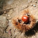 하이카써비스광산점 이미지