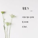 [詩] 풀꽃 2 - 나태주 - 이미지