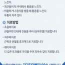 이물비치과의원 이미지