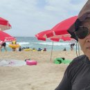 경포해수욕장 Daum카페