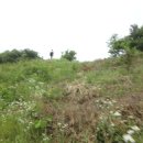 삼거리장수경로당 이미지