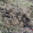 민들레세상 이미지