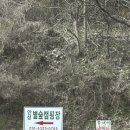 이마트24 안성광혜원점 | 서울 근교, 경기도 안성 캠핑장/ 별숲캠핑장 [명당사이트 추천 C2]