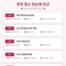덕진-45 | 2026 전국 장미 명소 베스트 5 (수도권·충청·전라·경상 총정리)