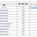 24시모란동물메디컬센터