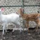 금어농장 이미지