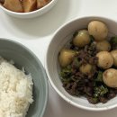 지안어린이집 | 2월 셋째주, 까치 까치 설날은 어제오늘내일글피 이고요