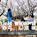 청량초 옆보행자도로 쉼터 | 서울에 이런 곳이?🌸 인생샷 2만 장 보장! 안양천 뚝방 벚꽃길 총정리: 주차·명당· 맨발 산책로 까지...