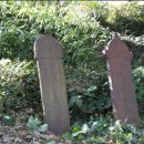 목리목장 이미지