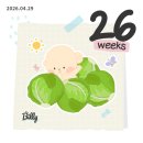 완전기초 명리학 | [임신 기록 13] 임신 26주차의 기록: 안다르 임산부 레깅스 / 가족 여행 / 전입신고 후 부평 보건소...