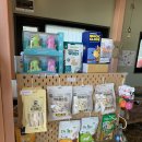 도그노크 이미지