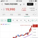 타이거 2차전지 etf 드뎌 2만찍음 크 이미지