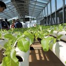 유기 농업기능사 국가기술자격증 이미지