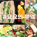 샐러드맛집 /건강하게 식단관리할 수 있는 요요의 부엌 !! 샐러드 정기배송 한~ 내돈내산 솔직 후기