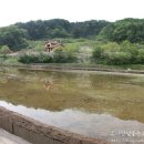 홍천샬레 이미지