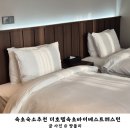 속초 숙소 추천 아름다운 뷰를 자랑하는 더호텔 속초 바이 베스트웨스턴에서 1박!