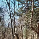 성민공인중개사사무소 이미지