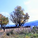 _나루터로2-11 이미지