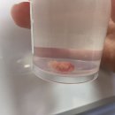 어울림 동물병원 이미지
