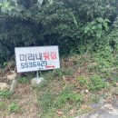 미리네횟집